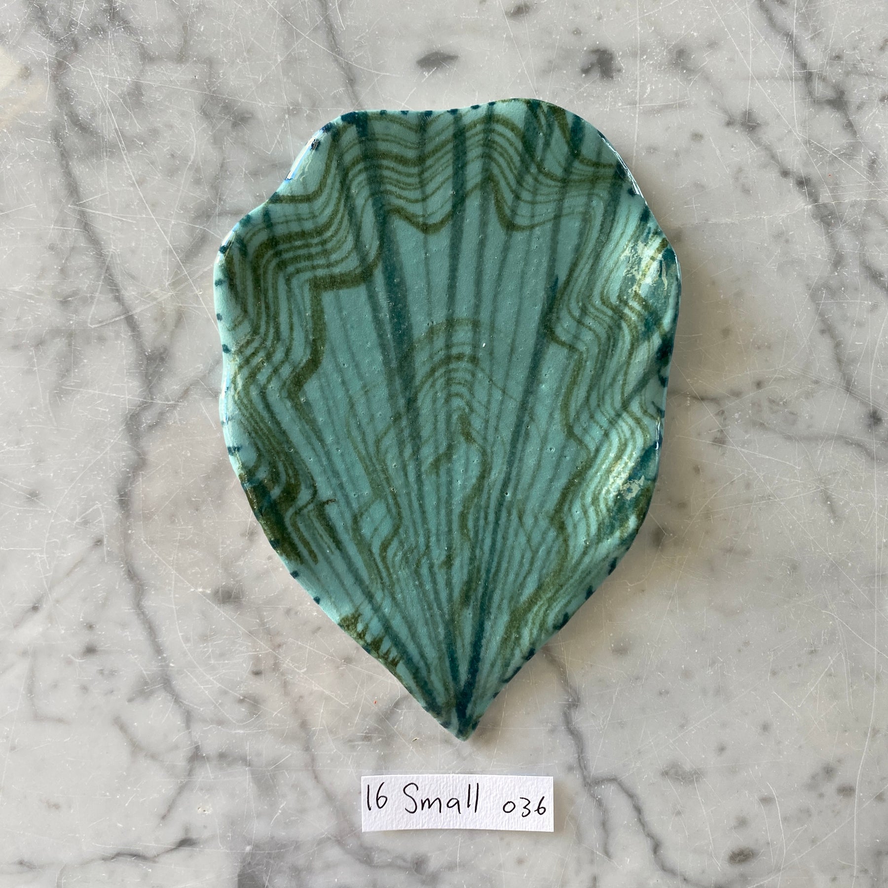 Small Shell 36
