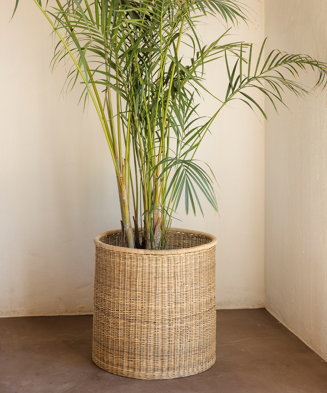 Round Closed Weave Cane Planter