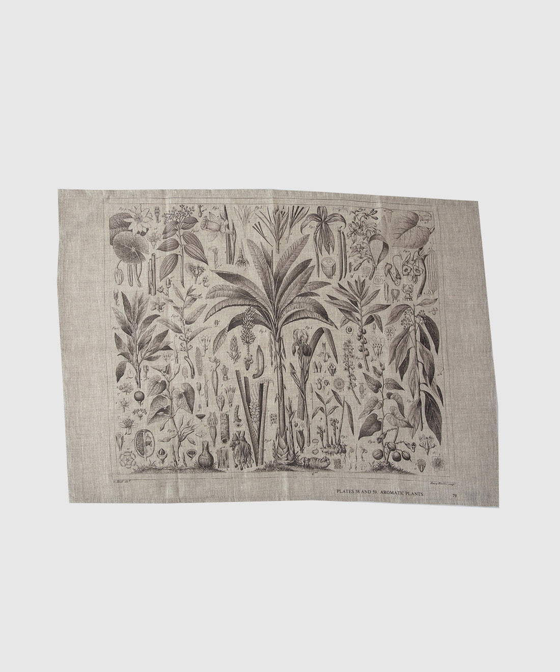 Botanical Tea Towels