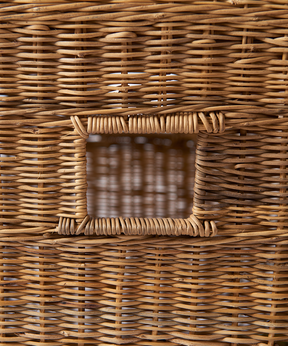 Woven Cane Planter