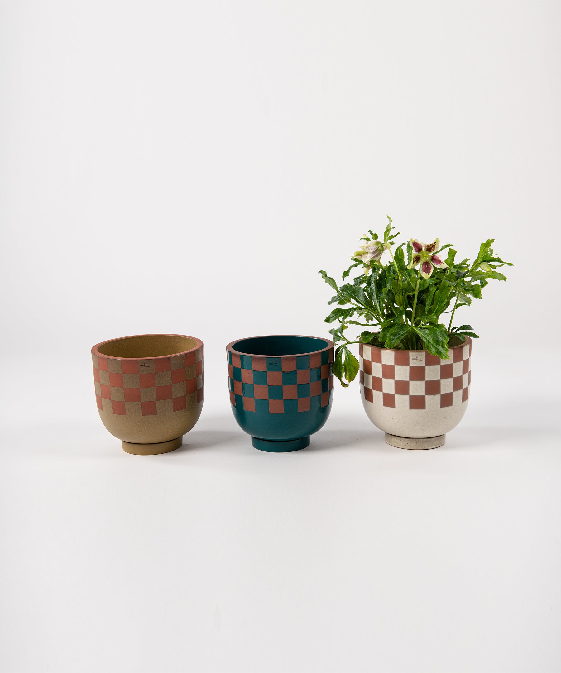 Terracotta and Check Pots
